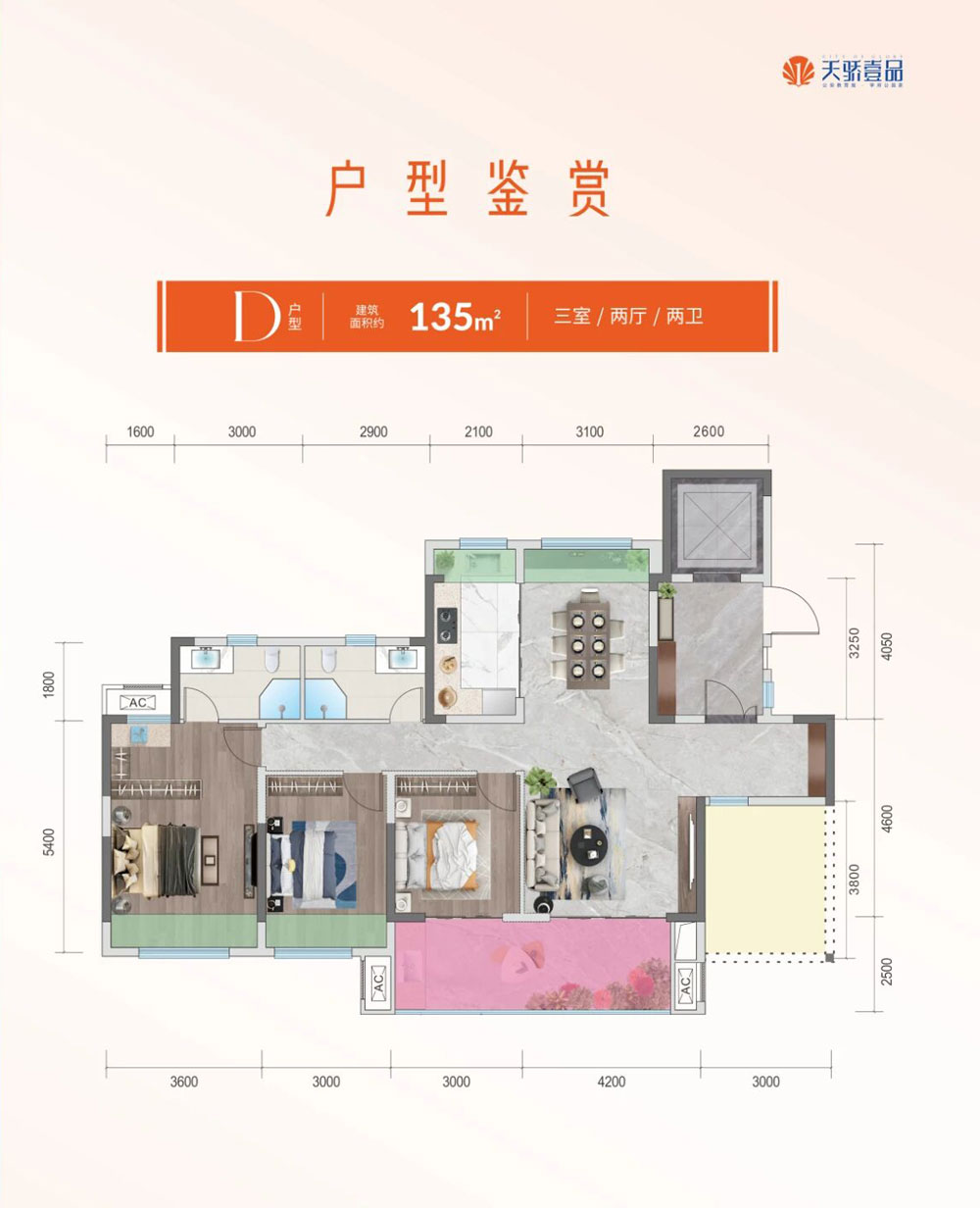 公安县天骄壹品D户型