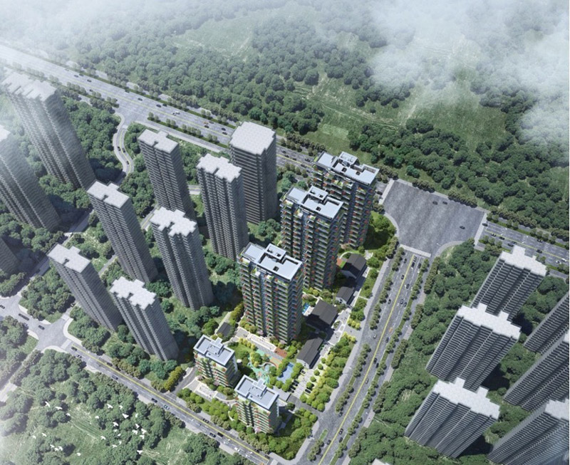 实景图
