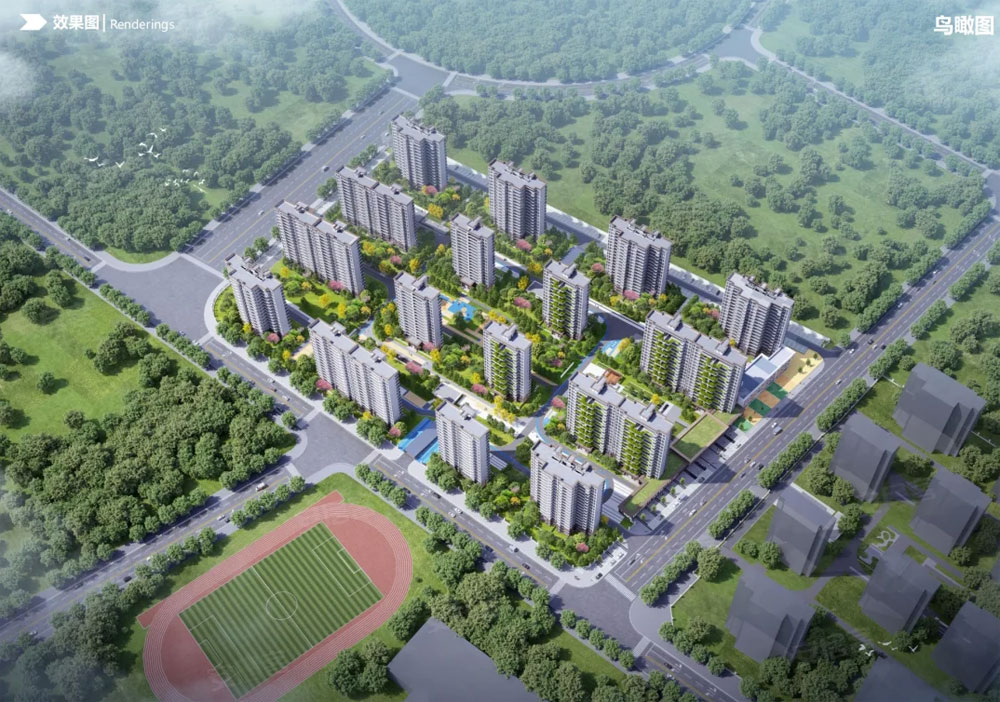实景图