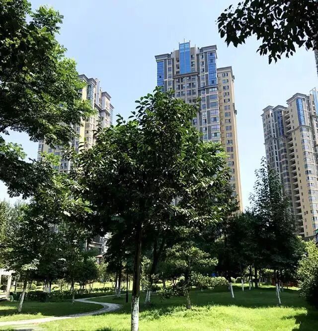 样板间